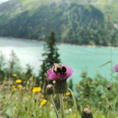 Haus Dora Apartment 3 Ahorn Mayrhofen Zewnętrze zdjęcie